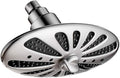 Rain Shower Head with Adjustable Brass Swivel Ball Joint, 2-Spray