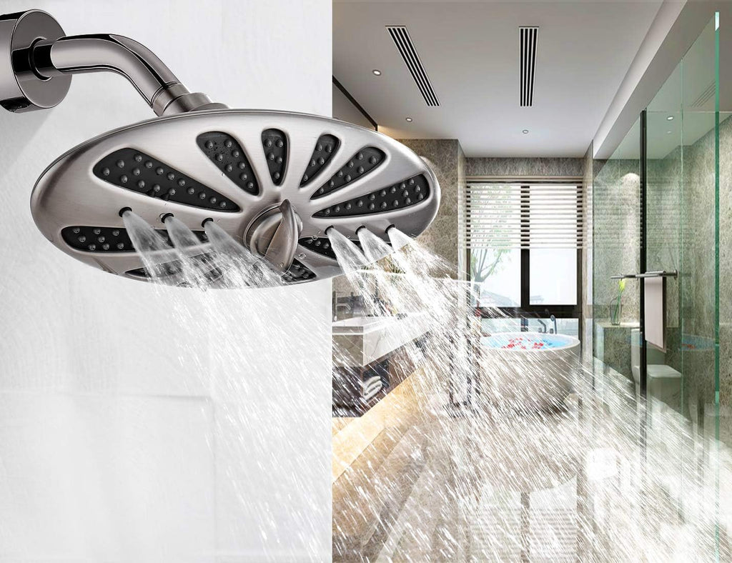 Rain Shower Head with Adjustable Brass Swivel Ball Joint, 2-Spray
