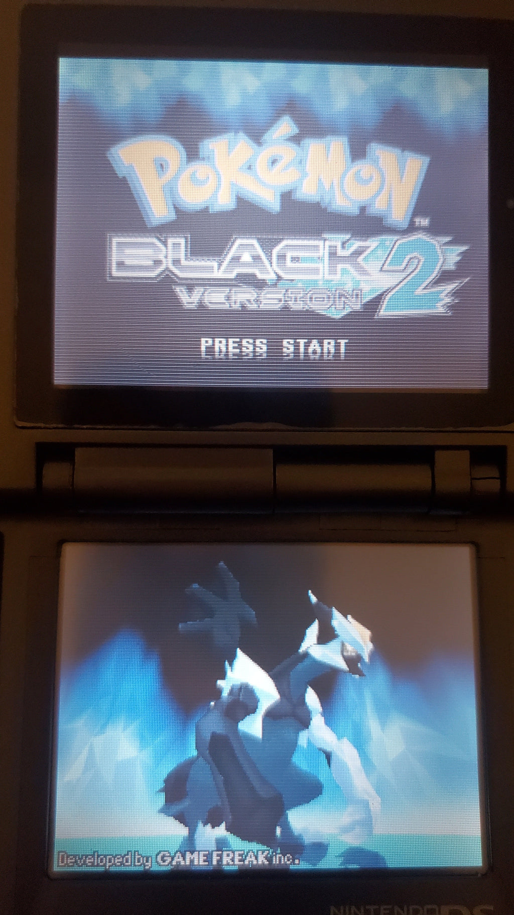 Pokemon Black Version 2 NDS Video Game Cartridge Nintendo DS 2012 R4